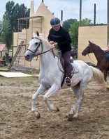 Venez découvrir une équitation ludique